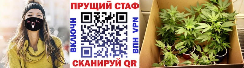 Купить закладку Канабис  Меф мяу мяу  Амфетамин  Галлюциногенные грибы  КОКАИН  Гашиш  Новоаннинский