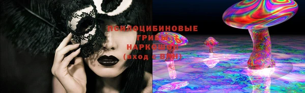 ешки Белокуриха