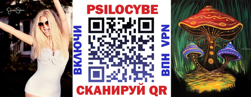 Купить  Новоаннинский  Галлюциногенные грибы Psilocybe 